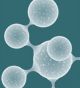 What Causes Acne